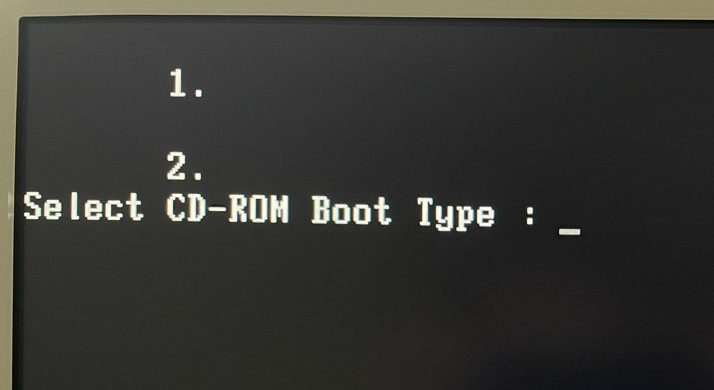 BIOS being confused