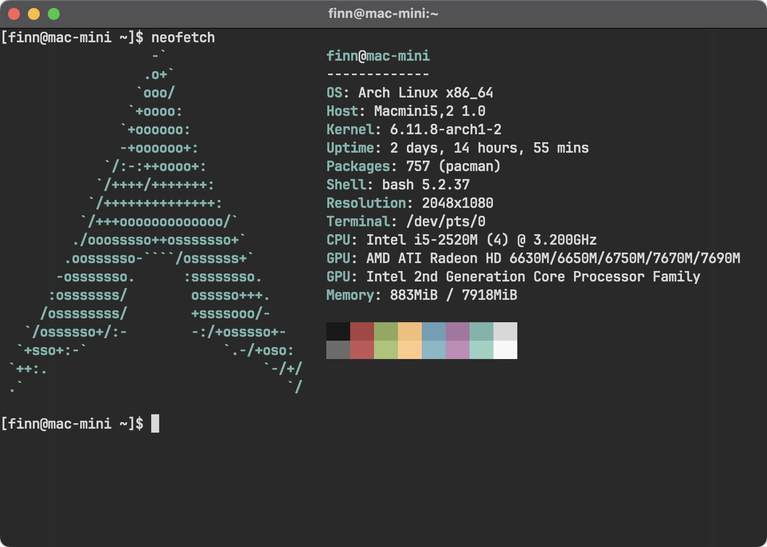 Mac Mini neofetch