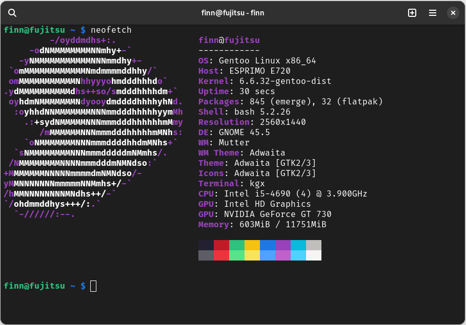 Neofetch from my Fujitsu